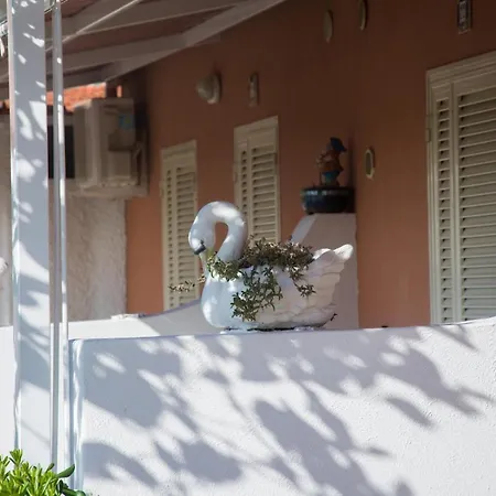 Le Dimore Di Concetta Forio (Isola d'Ischia)
